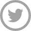 social 6